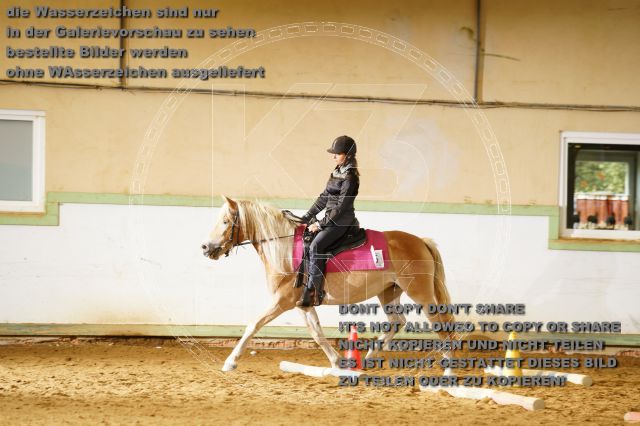 s_K3F06421.JPG